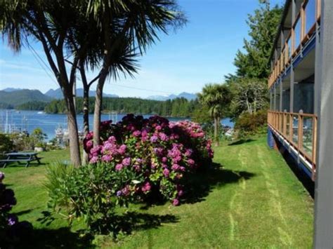 Tofino Motel Harbourview Hotel, Tofino, Canada - overview