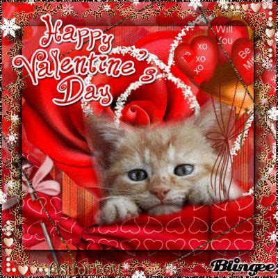 Valentine Cat Pictures, Photos, and Images for Facebook, Tumblr ...