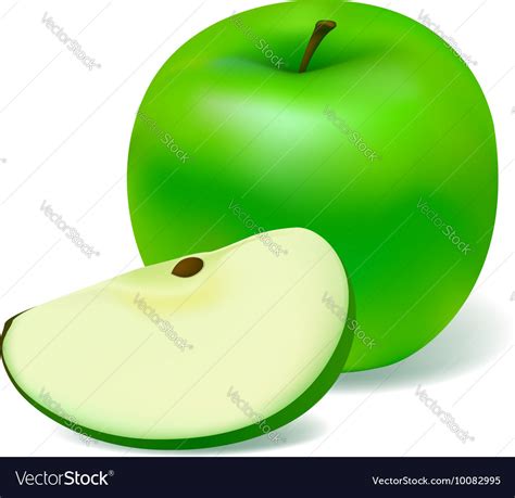 Green apple Royalty Free Vector Image - VectorStock