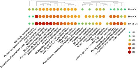 Enrichment Of Kegg Pathway Of Dems Among Comparison Groups According