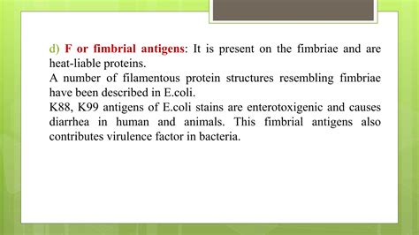 E Coli Ppt