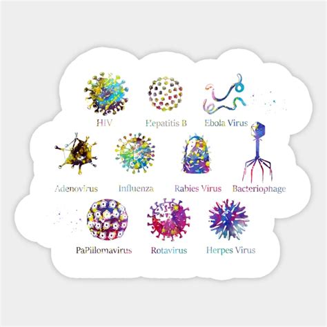 Diagram Showing Different Kinds Of Viruses Virus Sticker Teepublic