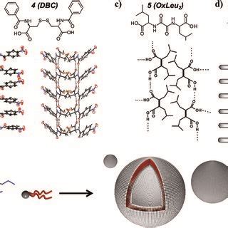 Various Low Molecular Weight Hydrogelators And Their Expected Molecular