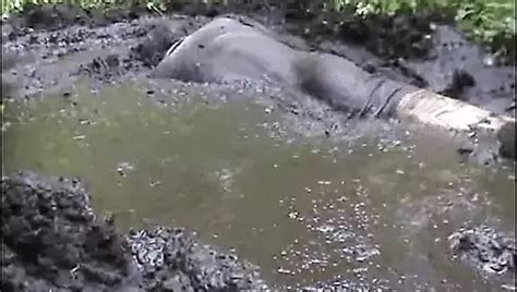 Mud Dress Gay Man Porn Feat Patrycjatv XHamster