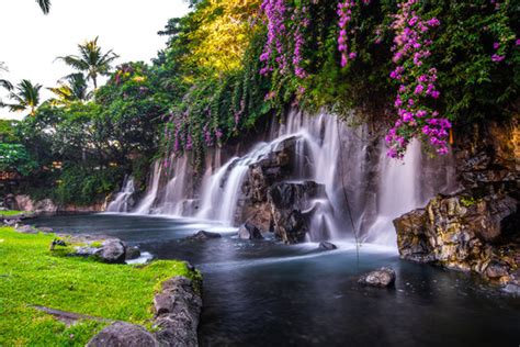 Maui Hawaii Waterfall Images – Browse 3,801 Stock Photos, Vectors, and ...