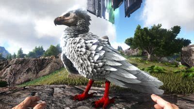 Platine Wiki Ark Survival Evolved Rp Fr Amino