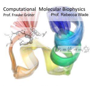 WS 2024 25 Lectures And Hands On Sessions In Computational Molecular