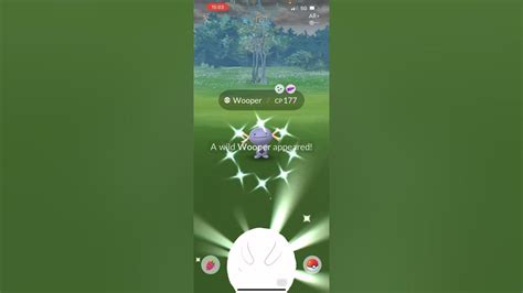 Shiny Wooper Paldean Shiny Wooper Community Day Pokemon Go A Muddy