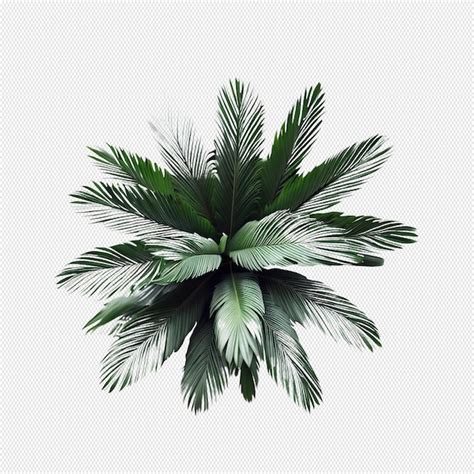 Premium PSD Tropical Plants