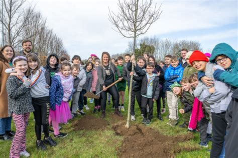 South Dublin County Council Celebrates National Tree Week Newsgroup