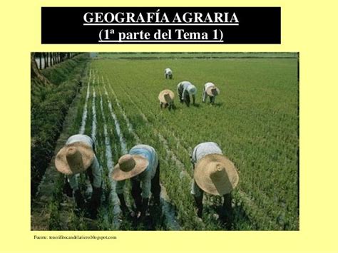 Geografia Agraria