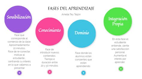 Fases Del Aprendizaje