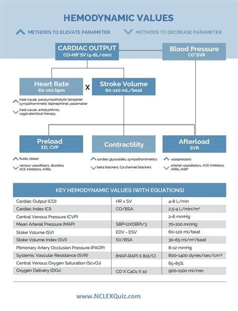 Discover the Essential Hemodynamics Values