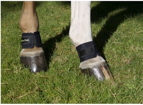 66 Back On Track® Equine Pastern Wraps