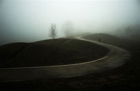 Showcase of Inspiring Foggy Photography - Web Design Ledger