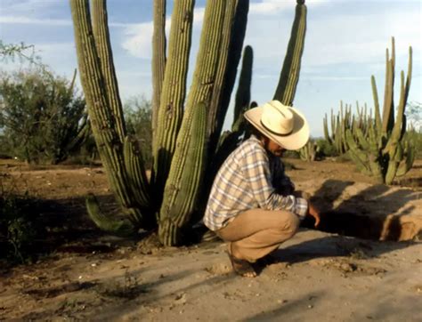 Etnograf A Del Pueblo Yaqui De Sonora