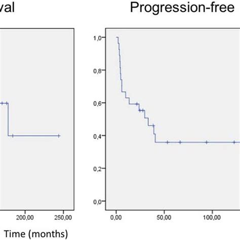 Cumulative Overall Survival And Progression Free Survival In Patients Download Scientific