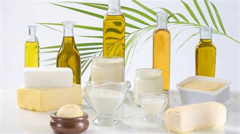 The Oil & Fat Industry – Ready for a shakeup? - Mista Food