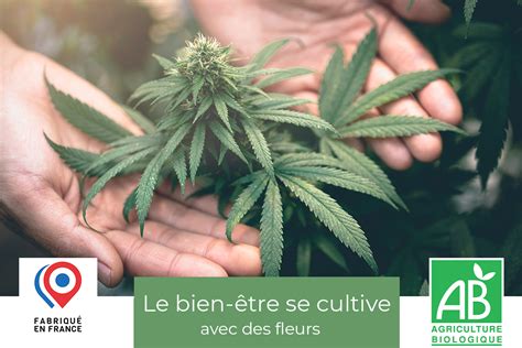 Lueur du Sud CBD culture Française BIO