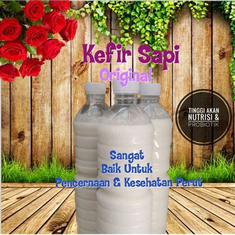 Jual Susu Kefir Sapi Original L Shopee Indonesia