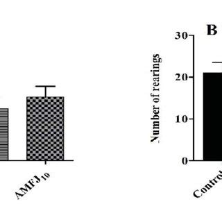 Effect Of Aronia Melanocarpa Fruit Juice Amfj Administered For