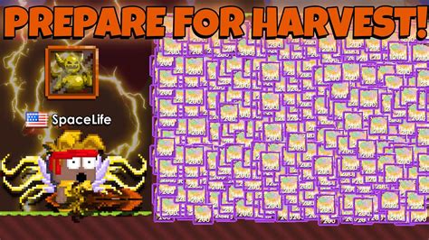 How To Profit In Harvest Fest Triple Dls How To Prepare For