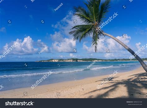 Carribian Over 125 Royalty Free Licensable Stock Photos Shutterstock