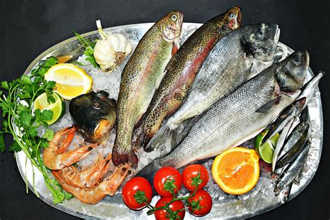 Fish Brothers Korpaba