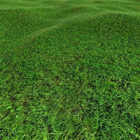 Texture Jpeg Grass Lawn Terrain