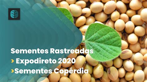 O Agro Sementes Rastreadas Expodireto Sementes Cop Rdia