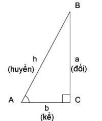 Sin Cos Tan là gì ? Công thức Sin Cos Tan trong tam giác vuông