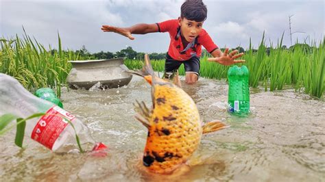 Amazing Bottle Fish Trap Fishing Fishing With Plastic Bottle