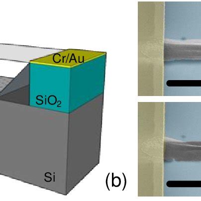 System-level impact of thermal switch. (a) Thermal circuit of thermal ...