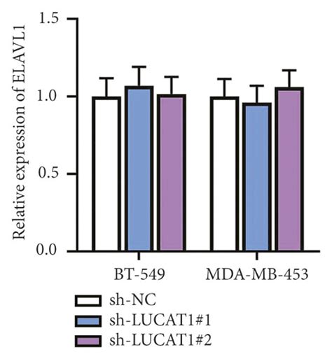 Lucat Interacts With Elavl Protein A Starbase Predicted Potential