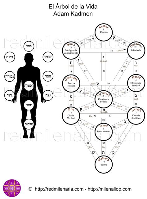 El Árbol de la Vida Etz Hayim Arbol de la vida Frases kabbalah