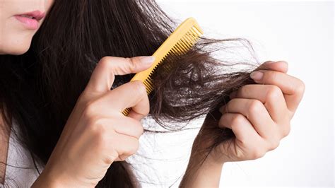 5 Cara Sederhana Merawat Rambut Kering Berkeluarga