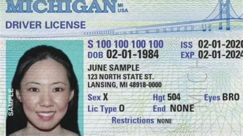 The Significance Of Your Id S Document Number