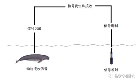 为保护中华白海豚，我们在水下建起了“气泡长城”腾讯新闻