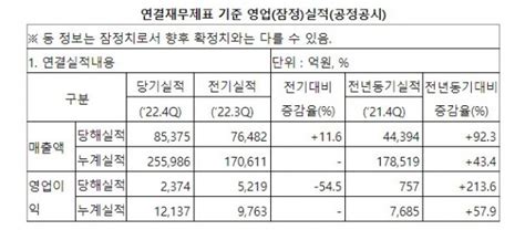 LG엔솔 2022년 연간 최대실적 달성매출 25조6000억원 네이트 뉴스