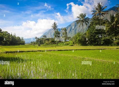 Indonesia Sumatra Samosir Island Lake Toba Stock Photo Alamy