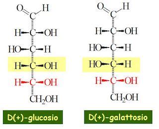 Epimers | Definition, Mechanism & Examples - Video & Lesson Transcript ...