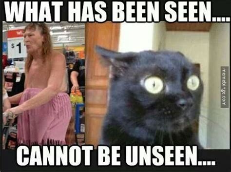 What Has Been Seen Cannot Be Unseen Funny Humor Lol Photo Picture Cat