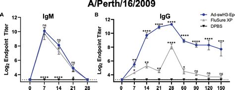 Frontiers Adenoviral Vectored Epigraph Vaccine Elicits Robust