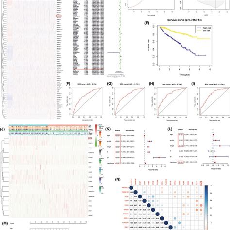 Identification Of A Prognostic Risk Signature Model A Heat Map Of