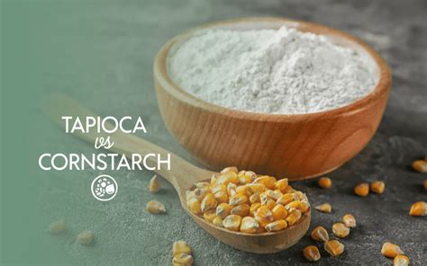 Cornstarch Vs Tapioca Flour Heres How They Differ Plantbasedfaqs