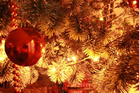 Christmas Decoration Free Stock Photo Public Domain Pictures