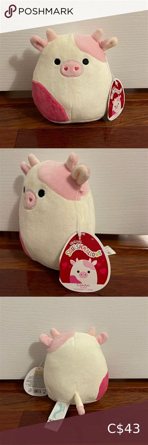 Caedyn The Pink Cow 5” Squishmallow Pink Cow Cow Pink