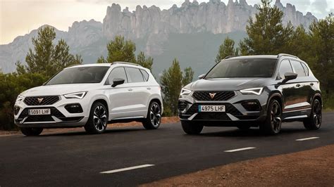 Cupra Tarraco high-performance seven-seater in development – report - Drive