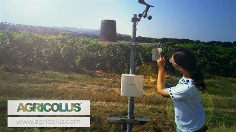 Sensors for agriculture | Agricolus