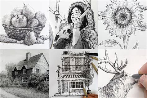 Pen And Ink Drawing Ideas 24 Curated Video Tutorials And Demonstrations